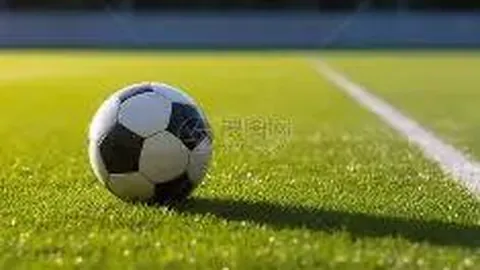 国米、米兰竞逐24岁新星克尔斯托维奇，莱切要价2500万欧