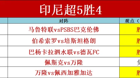 探索独特发展路径，稳健拓展民众民主实践新局面