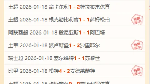 杨佳敏丹麦羽球公开赛止步八强