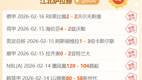 大乐透期号专家质合分析：前区十码精准推荐，美因茨残阵挑战疲劳